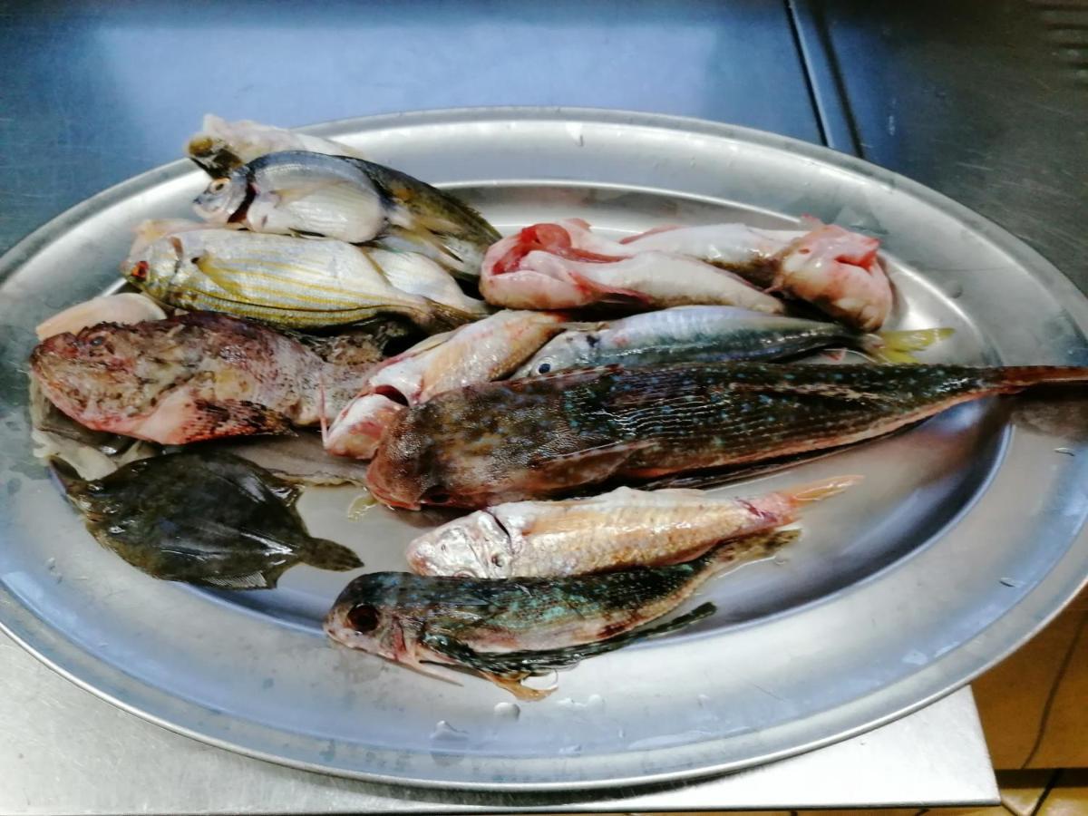 Hotel Posidonia Sapri Kültér fotó