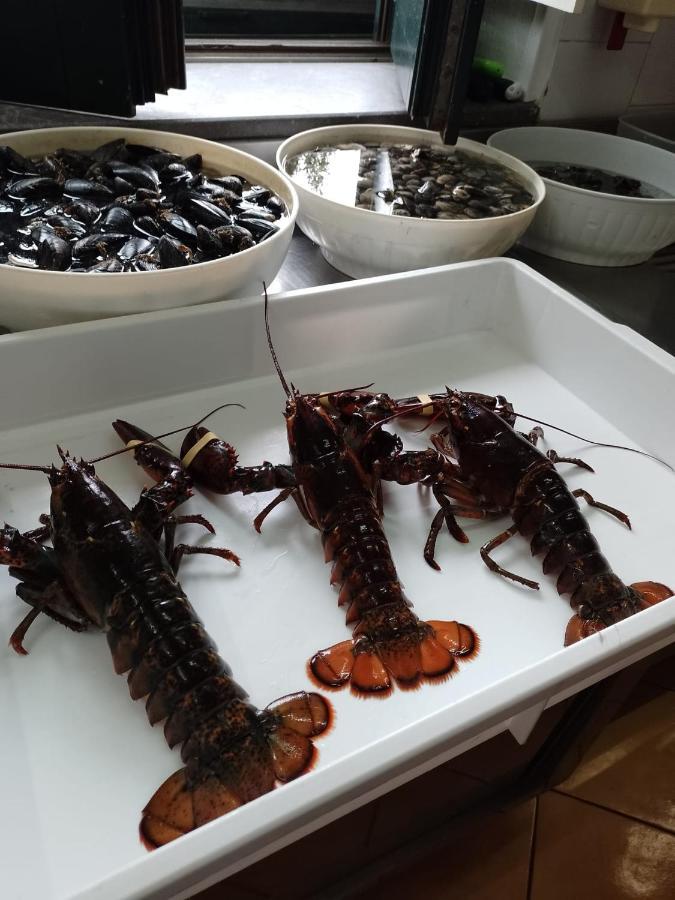 Hotel Posidonia Sapri Kültér fotó